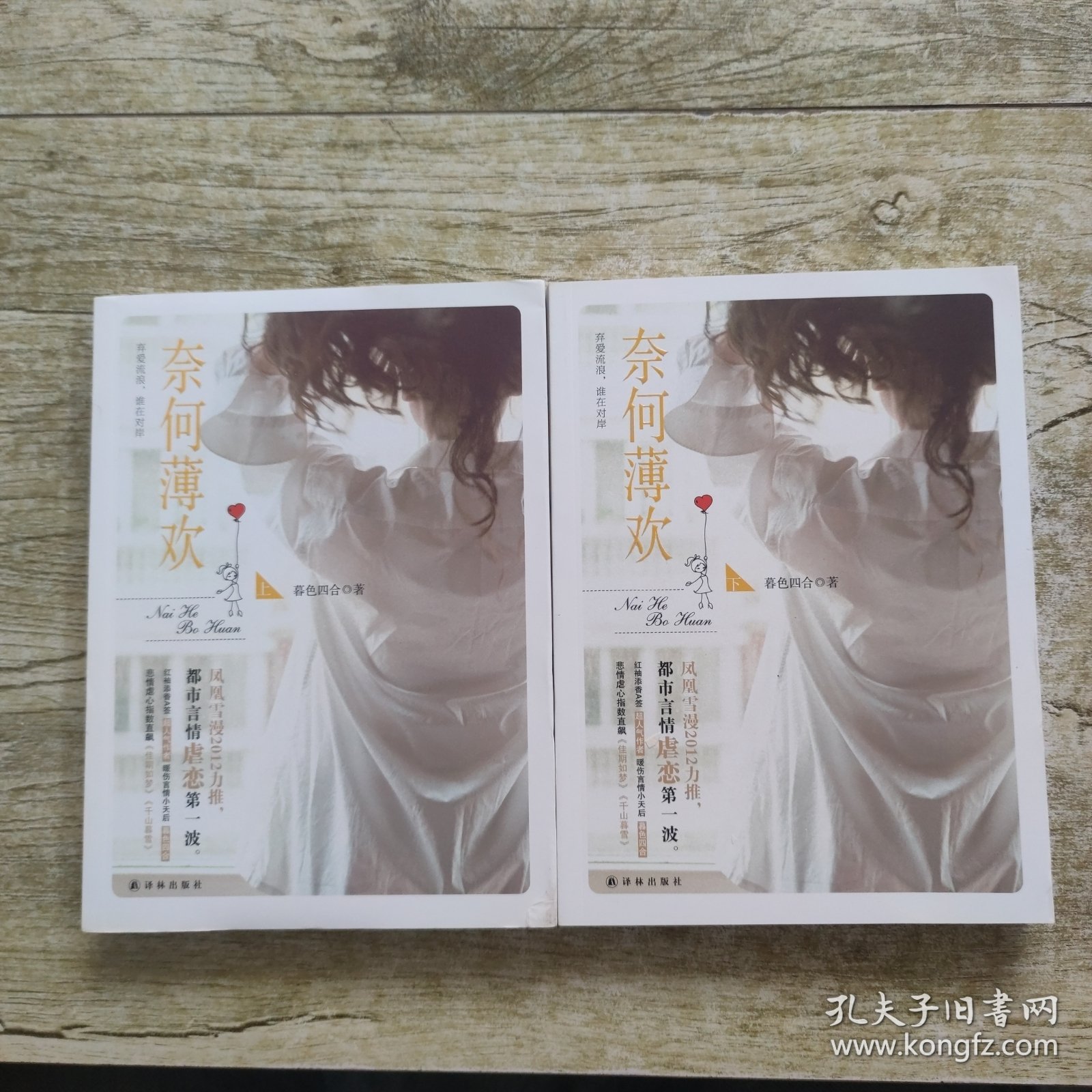 奈何薄欢 上下册