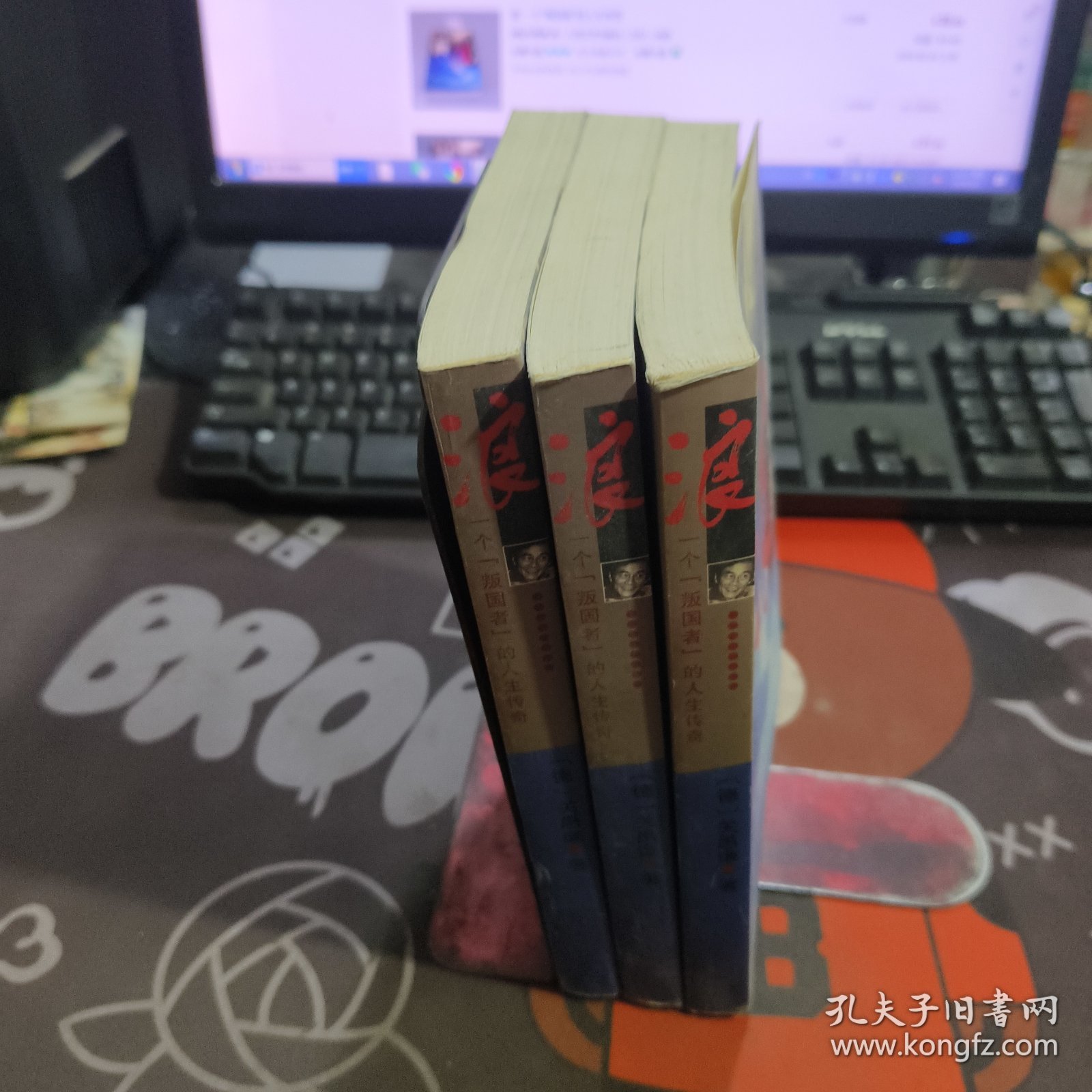 浪:一个“叛国者”的人生传奇（一版一印）