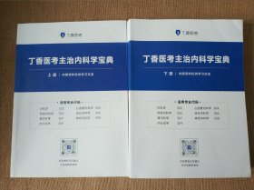 丁香医考主治内科学宝典（上下两册全 ）书品干净整洁