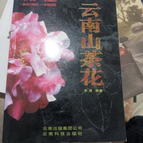 云南山茶花