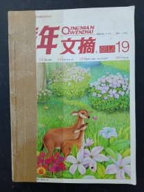 青年文摘 2012年 半月刊（第10月上下、11月上、12月上下 第19、20、21、23、24期）总第513-518期 共5本合售（自装订）