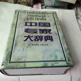 中国专家大辞典.13