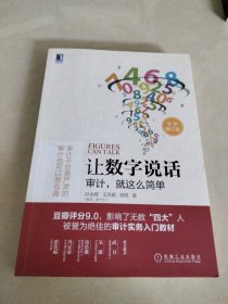 让数字说话：审计，就这么简单