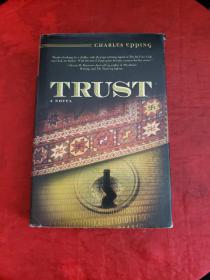 Trust A Novel（ 精装！~）扉页有铅笔字迹！