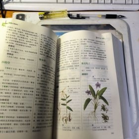 图解本草纲目：白话全译图解版