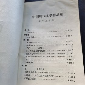 中国现代文学作品选 三