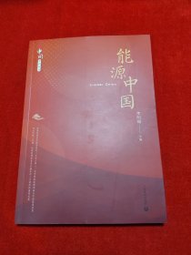 能源中国（中国系列丛书）