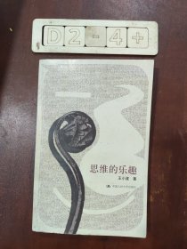 思维的乐趣