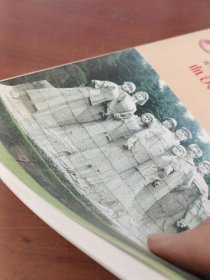 青少年学习中共党史丛书之7：血沃大地铸忠魂