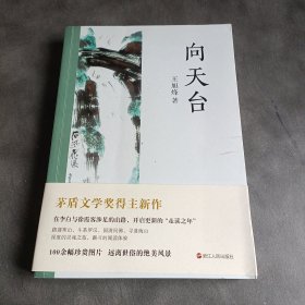 向天台（茅盾文学奖得主王旭烽新作）