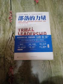 部落的力量：从抱怨、推诿、拖延的庸碌之师到充满激情、能量、想象力的非凡团队