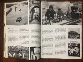 人民画报1983年第8期（廖承志、沿运河旅行、海上石油平台、朱建华、茶洛喷泉、中外合资企业、古格王遗址、文艺复兴艺术展、大理三塔、蜜蜂王国、桂东北风情、刘适兰、孔雀泉