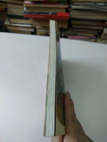 风云第十三册(如图)
