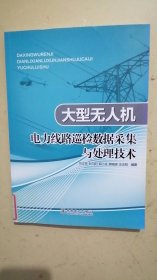 大型无人机电力线路巡检数据采集与处理技术