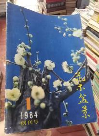 花木盆景1984年第1期创刊号