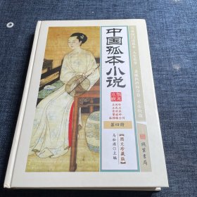 中国孤本小说4