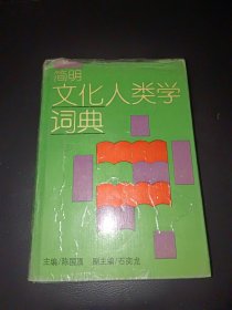 简明文化人类学词典