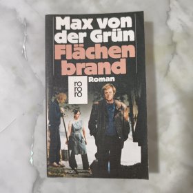 Max von der Grun Flachenbrand