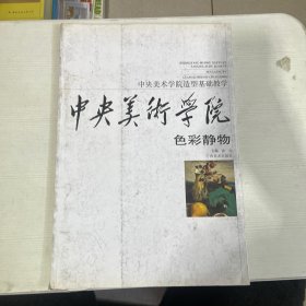 中央美术学院造型基础教学：色彩静物