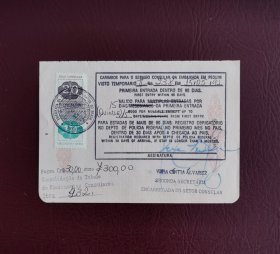 1991年巴西大使馆签发的短期多次入境签证 （护照签证，旅行签证，外国签证）