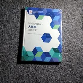 智能城市建设大数据战略研究 正版原封未拆