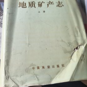 河南省地质矿产志 上册