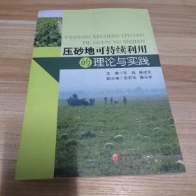 压砂地可持续利用的理论与实践