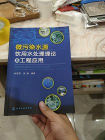 微污染水源饮用水处理理论及工程应用