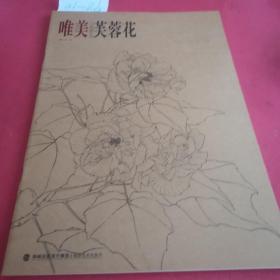 唯美白描精选：芙蓉花