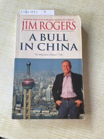 A Bull in China: Investing Profitably in the World's Greatest Market 投资中国