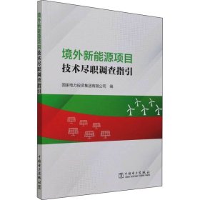 境外新能源项目技术尽职调查指引