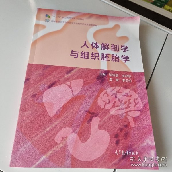 人体解剖学与组织胚胎学