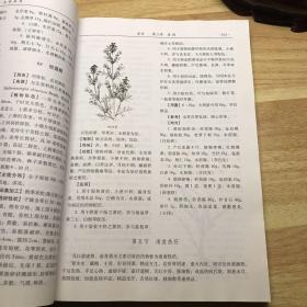 太白本草（编号：20）