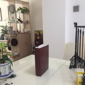 毛泽东选集 一卷本