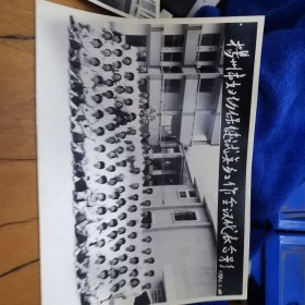老照片 扬州市妇幼保健试点乡工作会议代表合影 1986
