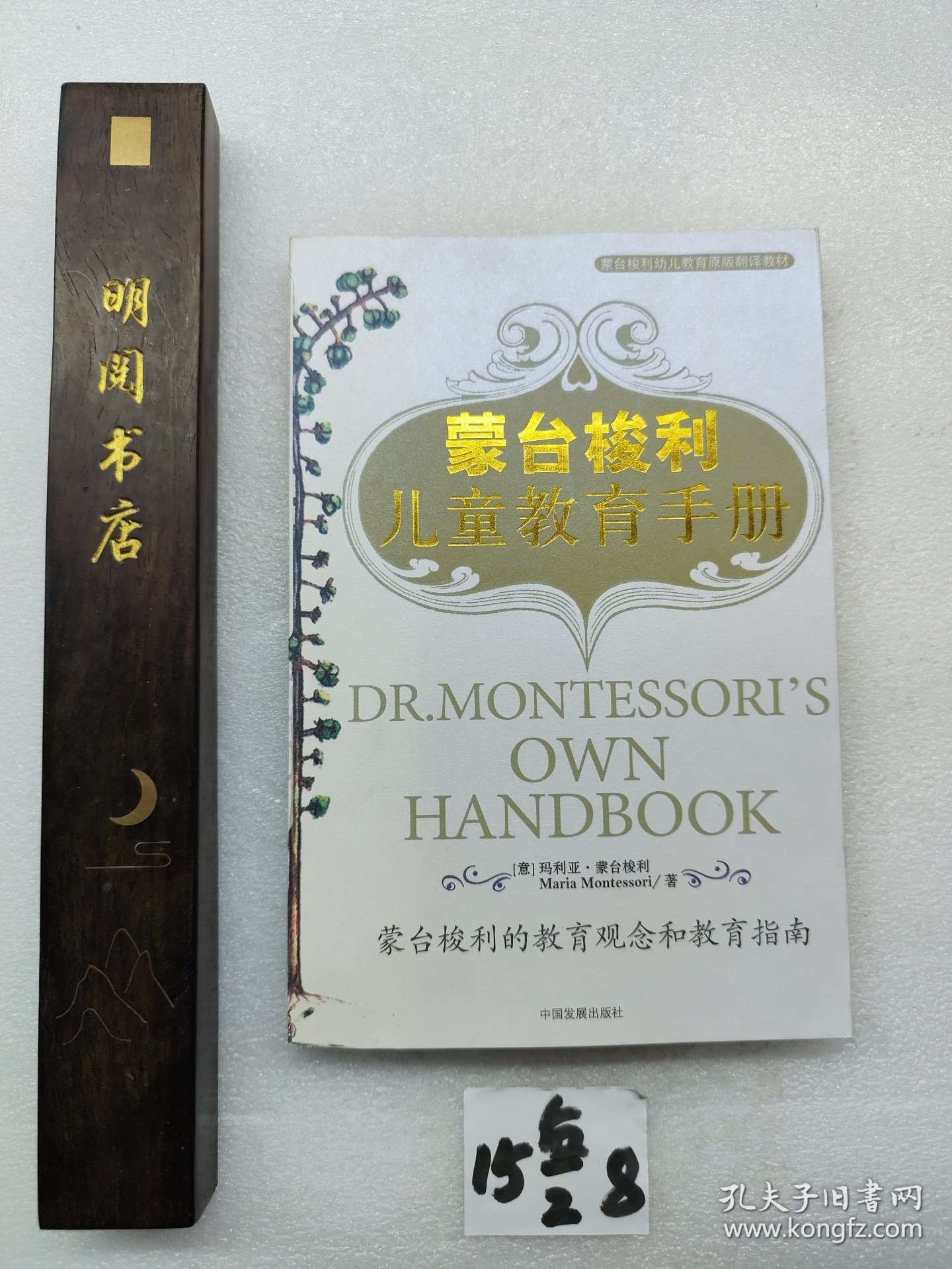 蒙台梭利儿童教育手册：蒙台梭利的教育观念和教育指南