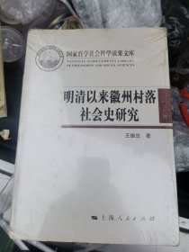 明清以来徽州村落社会史研究