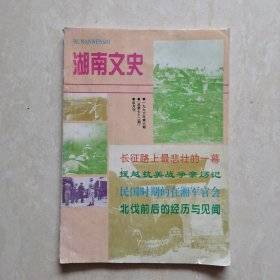 湖南文史1996-6