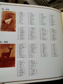中国珍稀野生动物手绘图谱