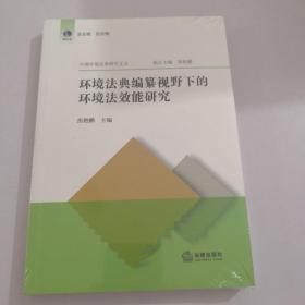 环境法典编纂视野下的环境法效能研究