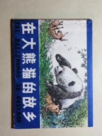 《在大熊猫的故乡》
