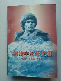 杨靖宇纪念文集 （本书内容：历史文献、日伪档案资料、杨靖宇将军生前撰写的报告、诗文，杨靖宇年谱）