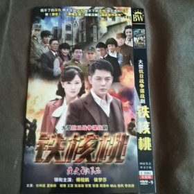 DVD铁核桃（2碟大型抗日战争谍战剧）以试