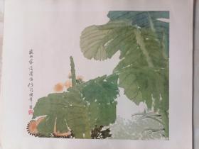 任伯年人物花鸟册10张