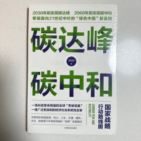 碳达峰碳中和：国家战略行动路线图 袁志刚 循环经济 低碳经济 环境气候