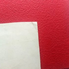 老照片，风华正茂，四化展宏图纪念革命卅周年，长春市公安局