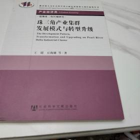 教育部人文社会科学重点研究基地重大项目成果丛书·产业经济类：珠三角产业集群发展模式与转型升级