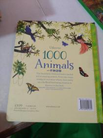 1000Animals