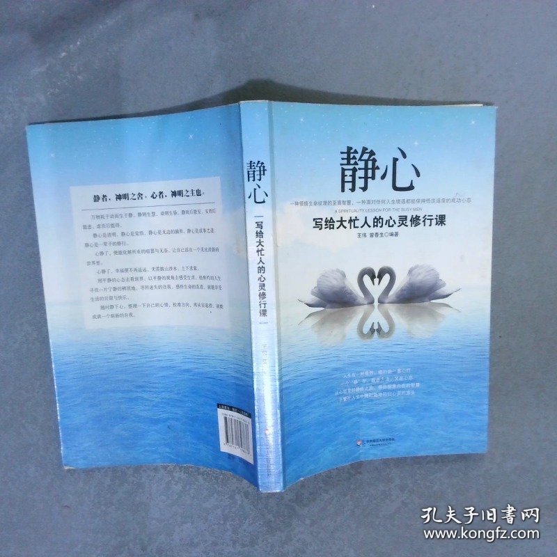 静心：写给大忙人的心灵修行课