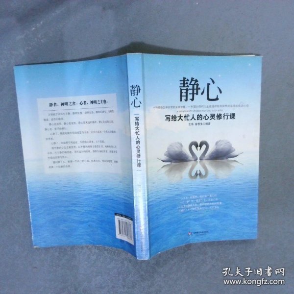 静心：写给大忙人的心灵修行课